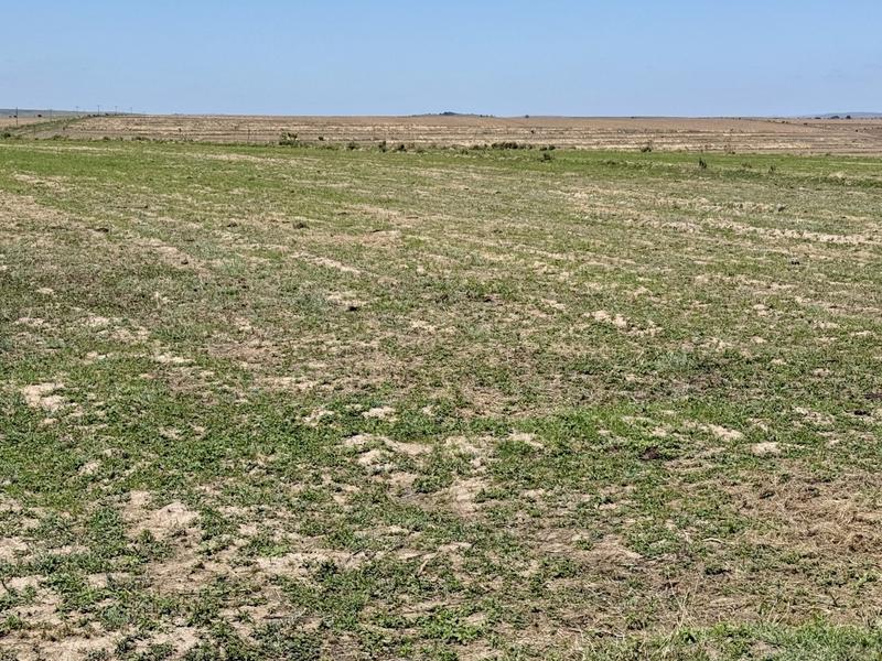 0 Bedroom Property for Sale in Tweeling Free State